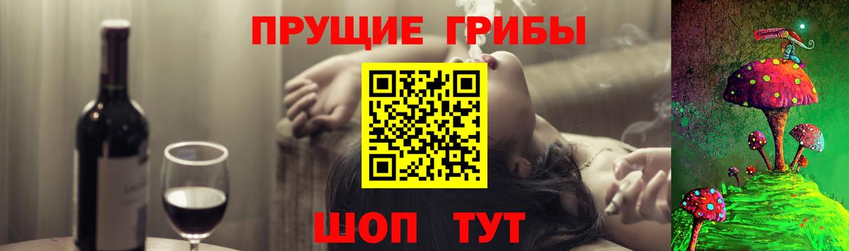 Арзамас  Псилоцибиновые грибы Cubensis  Вход с VPN 
